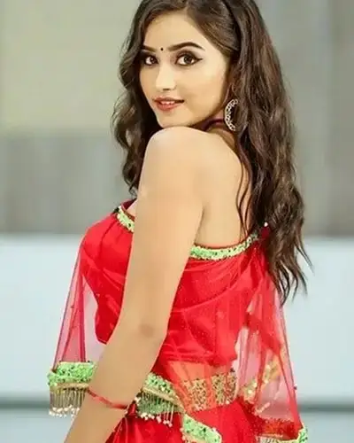 Call Girls Service Zahirabad